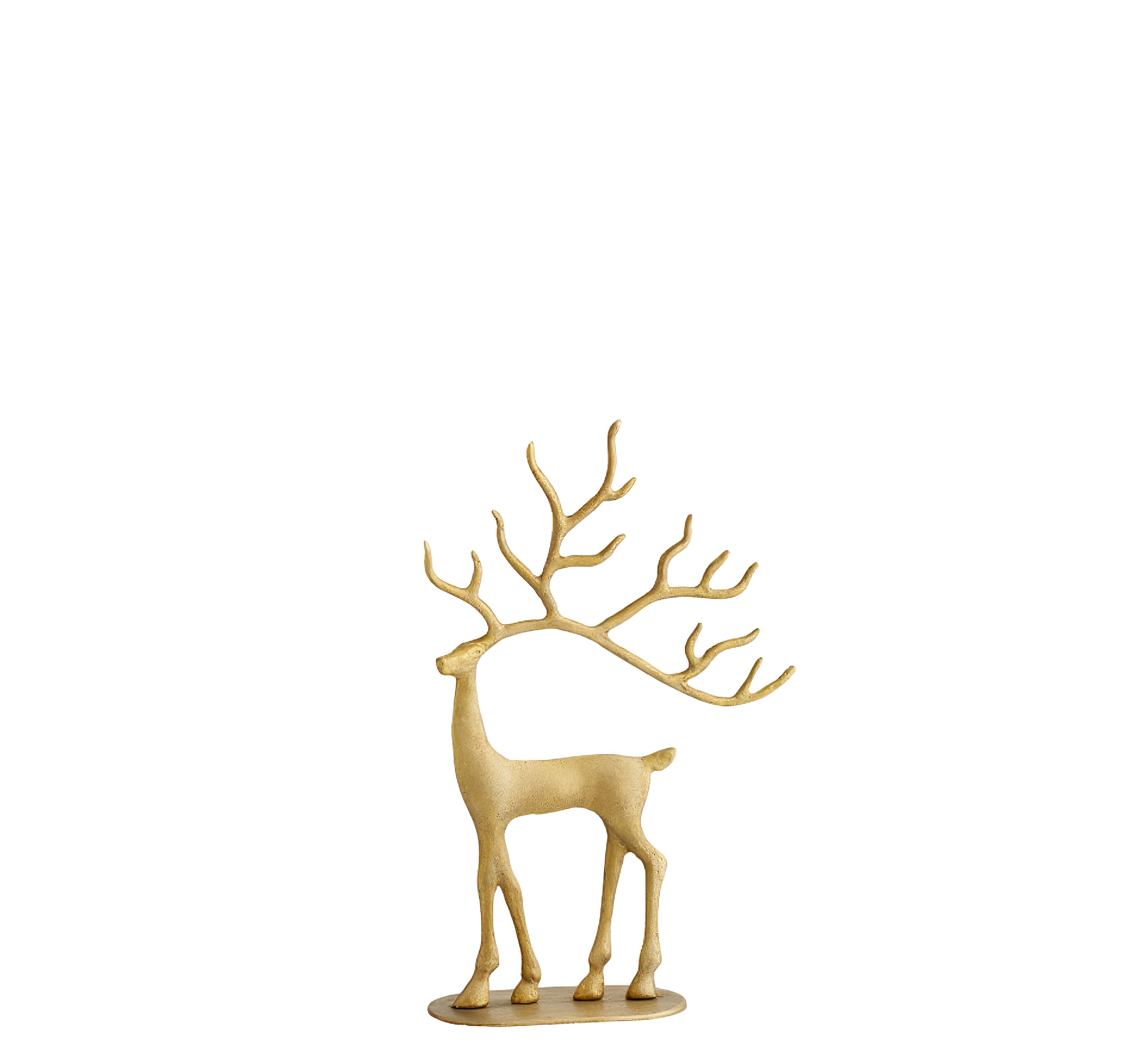 The Enchanting Golden Deer Family
