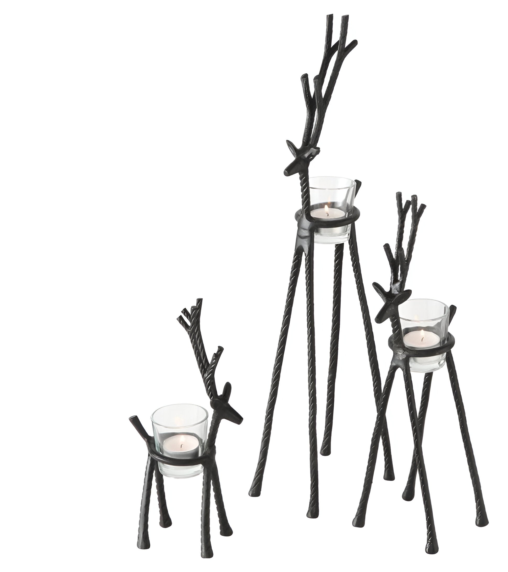 Deer Candle Family
